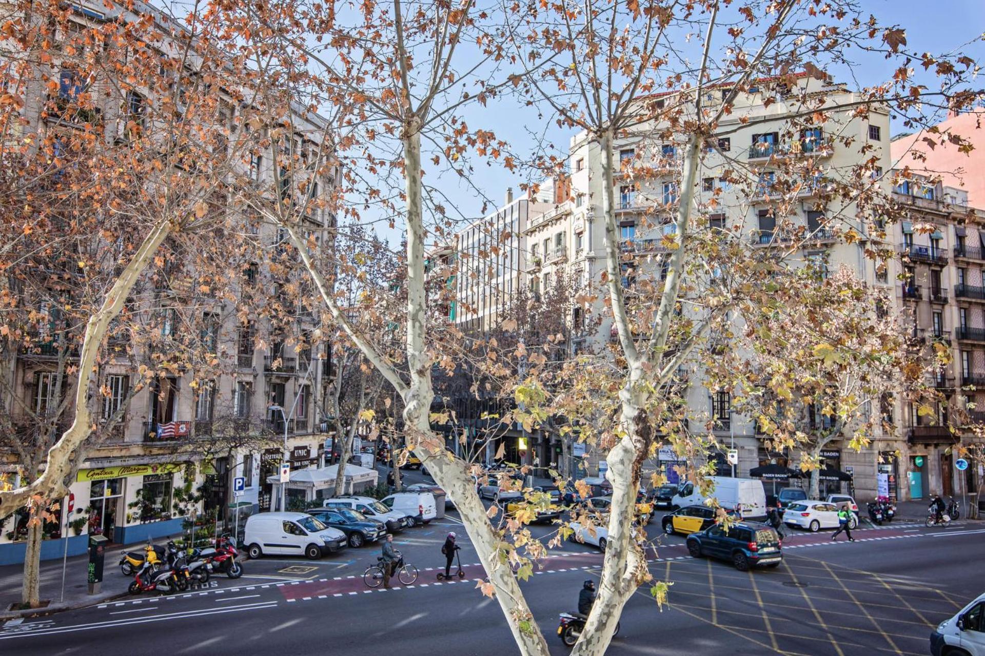 Sweett - Comte Urgell — Fotos 3